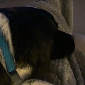 Meet your Posher, Ann